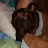 Beth Leonard - @beth.leonard2 - TikTok