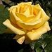 Beth Longfellow - Facebook