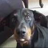 Bethany Martinez - @bethany.martinez1 - TikTok