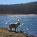 Bethany Veterans Memorial Park - Facebook