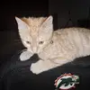 Bethany Patrick - @bethany.patrick4 - TikTok