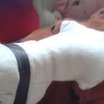 Bethany Peach - Facebook