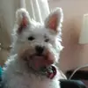 bethany_petrie - @beth_petrie_26 - TikTok