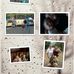Beth Pettit - Facebook