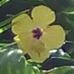 Bethany Pfaff - Facebook