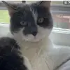 Bethany P - @bethanypierce - TikTok