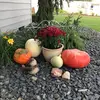 bethanypierce5276 - @bethanypierce5276 - TikTok