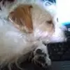 bethanypierce80 - @bethanypierce80 - TikTok