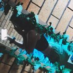 •Bethany• - @bethany.plummer6 - Instagram
