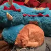 bethanygates33 - @bethany.pollard5 - TikTok