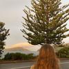 BethanyPounder - @bethanyy.pounder - TikTok
