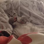 @bethany_potts261 - Instagram