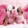bethanypower - @bethanypower - TikTok
