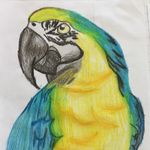 Bethany Provost - @bgp_art597 - Instagram