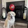 Beth Purdy - @beth.purdy1 - TikTok