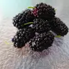 ... - @bethany._.purdy - TikTok