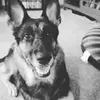 bethany_radloff - @bethany_radloff - TikTok