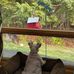 Bethany Childs Redmond - Facebook