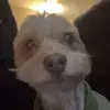Bethany - @bethanyyreyess - TikTok