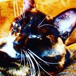 Bethany Reyes - @bethany_reyes756 - Instagram