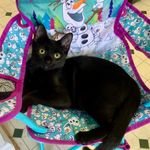 Bethany Rizzo - @42teachermom - Instagram