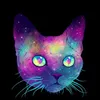 bethanyroark1 - @bethanyroark1 - TikTok