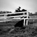 Bethany Roche - Facebook