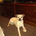 Bethany Ruback - Facebook