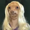 bethanyrules - @bethanyrules1 - TikTok