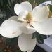 Beth Rutherford - Facebook