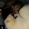Bethany Rutledge - @itsdoggirl101 - TikTok