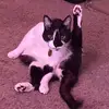bethany.sapp - @bethany.sapp - TikTok