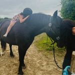 Bethany Scanlon - @scan__78 - Instagram