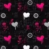 bethanyschneider8 - @bethanyschneider8 - TikTok