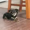 Bethany Schultz - @bethany.schultz1 - TikTok
