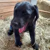 Bethany Shayanne Snyder - @bethany.snyder1976 - TikTok