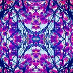 Bethany Stokes - @life_through_the_kaleidoscope_ - Instagram