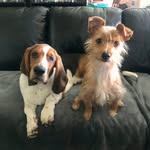 Bethany Reynolds Tabor - @bethlynn423 - Instagram