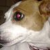 Beth Trautman - Facebook