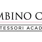 Bethany Vasquez - @bambinocitymontessoriacademy - Instagram