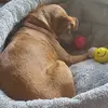 bethanyvera241 - @bethanyvera241 - TikTok