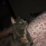 Bethany Vickers Pratt - @prattbethany - Instagram