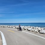Bethany Vincent - @bvincentdvm - Instagram