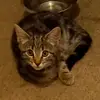 Bethany Wade - @bethany.wade - TikTok