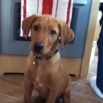 Bethany Waters - @bethanywaters46 - Instagram