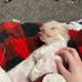 Bethany Waugh - Facebook