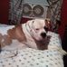 Beth Weldon - Facebook