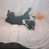 Beth Whitman - @beth.whitman671 - TikTok