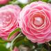 Beth Whyte - Facebook