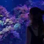Bethany Wickham - Facebook